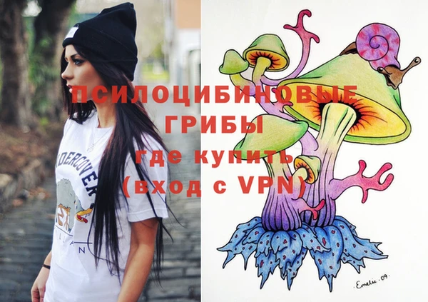 винт Гусь-Хрустальный