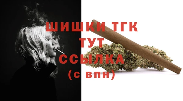 винт Гусь-Хрустальный