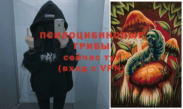 винт Гусь-Хрустальный