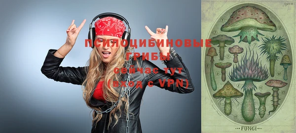 ешки Гусев